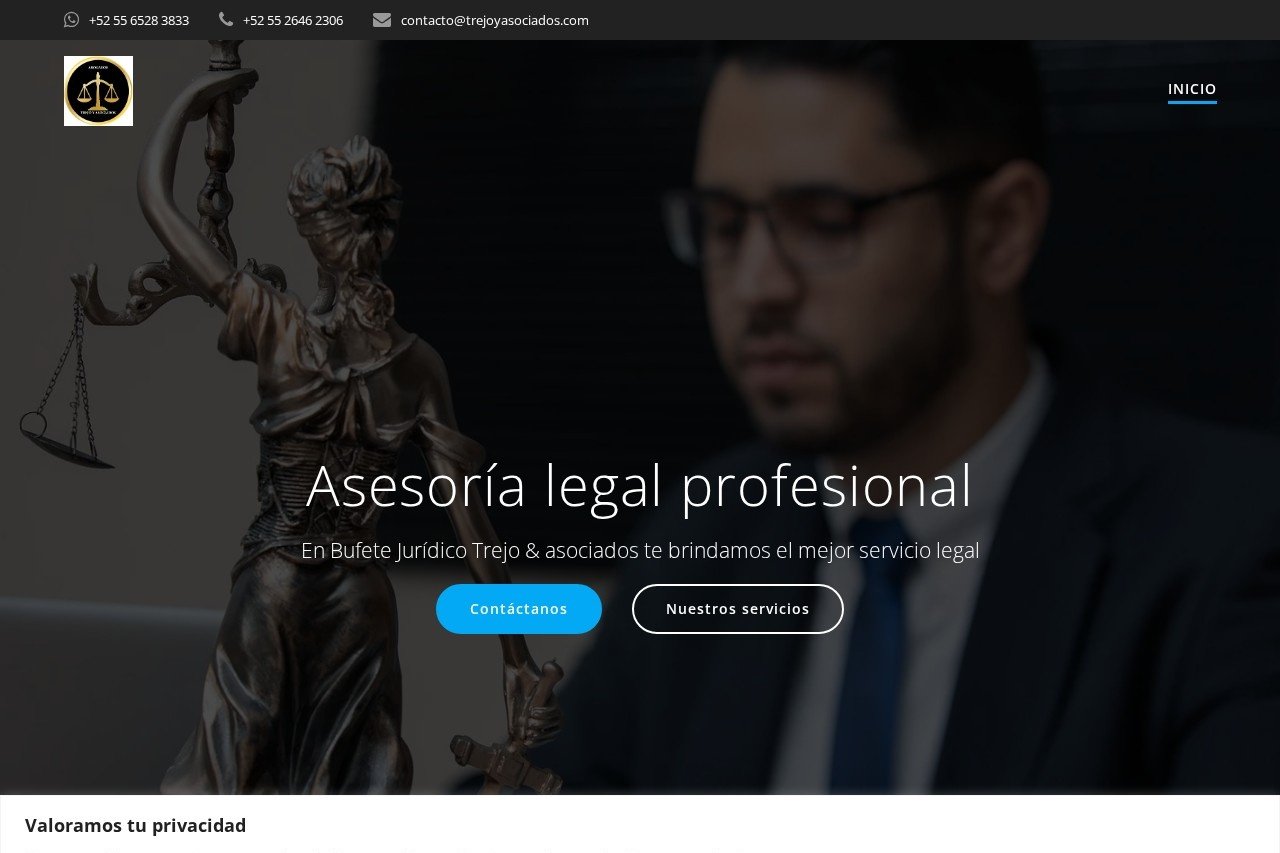 Captura del sitio de Trejo y Asociados